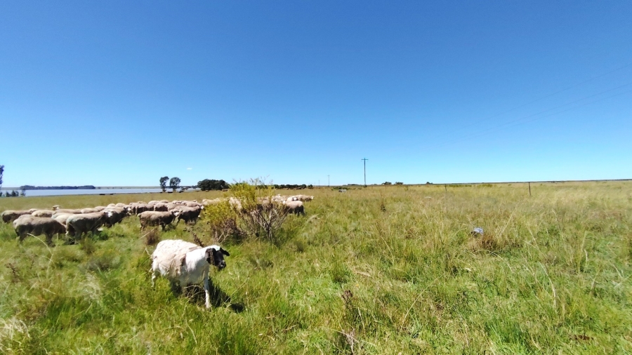 Commercial Property for Sale in Sasolburg Rural Free State